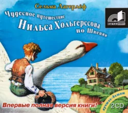 Чудесное путешествие Нильса Хольгерссона с гусями по Швеции - Сельма Лагерлёф