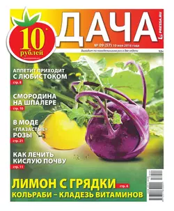 Дача Pressa.ru 09-2016 - Редакция газеты Дача Pressa.ru