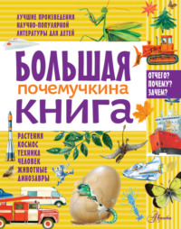 Большая почемучкина книга - Коллектив авторов