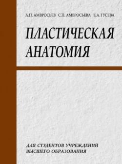 Пластическая анатомия - Елизавета Гусева