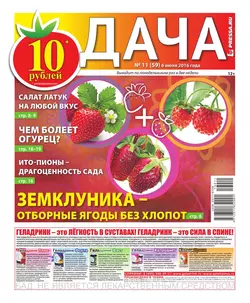 Дача Pressa.ru 11-2016 - Редакция газеты Дача Pressa.ru