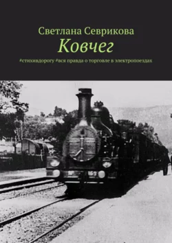 Ковчег. #стихивдорогу #вся правда о торговле в электропоездах - Светлана Севрикова