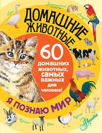 Домашние животные. 60 домашних животных, самых важных для человека!, książka audio Е. Ю. Снегиревой. ISDN19398125
