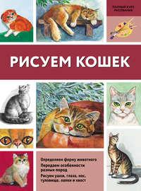 Рисуем кошек, аудиокнига Нины Щербаковой. ISDN20036549