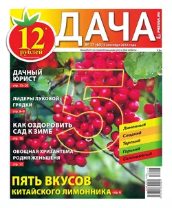 Дача Pressa.ru 17-2016 - Редакция газеты Дача Pressa.ru