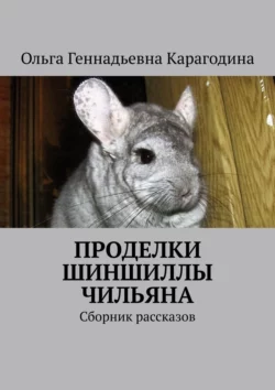 Проделки шиншиллы Чильяна. Сборник рассказов, аудиокнига Ольги Геннадьевны Карагодиной. ISDN21235217