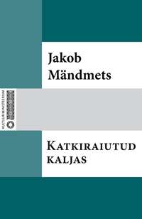 Katkiraiutud kaljas - Jakob Mändmets