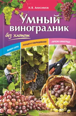 Умный виноградник без хлопот - Николай Анисимов