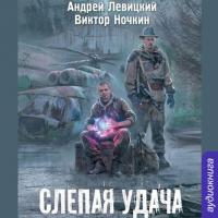 Слепая удача, audiobook Андрея Левицкого. ISDN21570093
