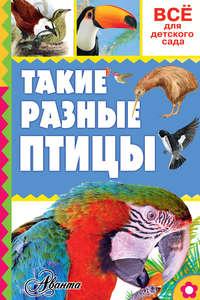 Такие разные птицы, książka audio Александра Тихонова. ISDN21580736