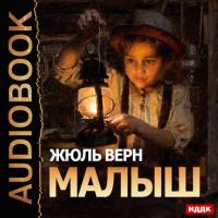 Малыш, audiobook Жюля Верна. ISDN21607692