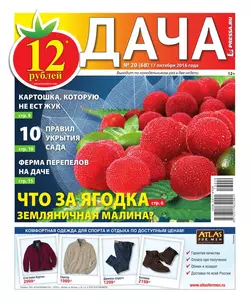 Дача Pressa.ru 20-2016 - Редакция газеты Дача Pressa.ru