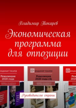 Экономическая программа для оппозиции. Руководителю страны, аудиокнига Владимира Токарева. ISDN22033854