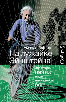 На лужайке Эйнштейна. Что такое ничто, и где начинается всё - Аманда Гефтер