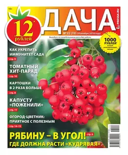 Дача Pressa.ru 22-2016 - Редакция газеты Дача Pressa.ru