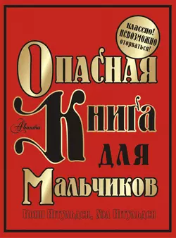 Опасная книга для мальчиков. Классно! Невозможно оторваться! - Конн Иггульден