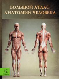 Большой атлас анатомии человека, аудиокнига Винсента Перез. ISDN22197402