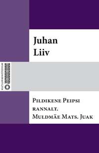 Pildikene Peipsi rannalt. Muldmäe Mats. Juak,  аудиокнига. ISDN22205958