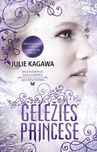 Geležies princesė - Julie Kagawa