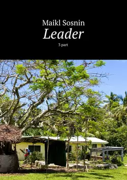 Leader. 3 part,  audiobook. ISDN22572525