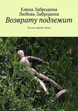 Возврату подлежит. Ты стал другим. Беги! - Елена Забродина