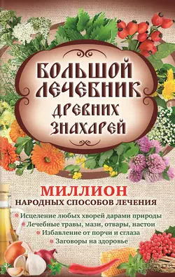 Большой лечебник древних знахарей. Миллион народных способов лечения - Лариса Кузьмина