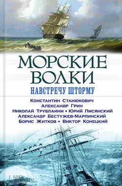 Морские волки. Навстречу шторму (сборник) - Александр Грин