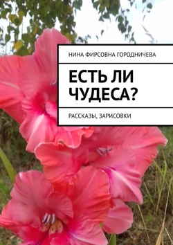 Есть ли чудеса? Рассказы, зарисовки - Нина Городничева