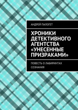 Хроники детективного агентства «Унесенные призраками». Повесть о лабиринтах сознания - Андрей Палогет