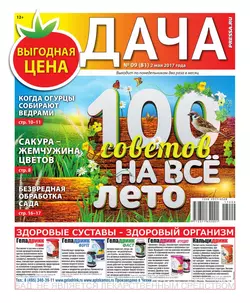 Дача Pressa.ru 09-2017 -  Редакция газеты Дача Pressa.ru