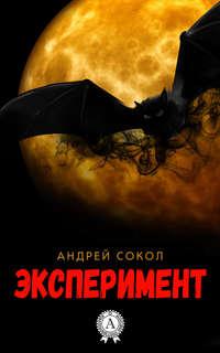 Эксперимент - Андрей Сокол