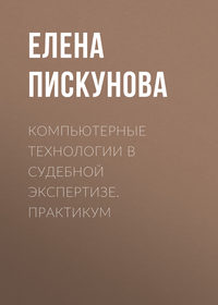 Компьютерные технологии в судебной экспертизе. Практикум - Елена Пискунова