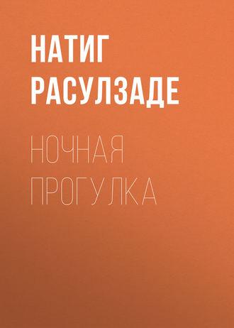 Ночная прогулка - Натиг Расулзаде