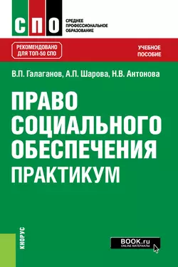 Право социального обеспечения. Практикум - Владимир Галаганов