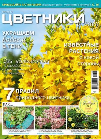 Цветники в саду №06/2017 - Сборник