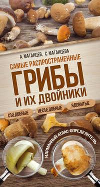 Самые распространенные грибы и их двойники съедобные, несъедобные, ядовитые, audiobook Александра Николаевича Матанцева. ISDN26071931