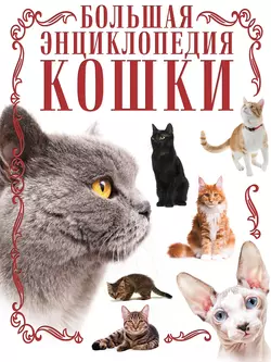 Кошки. Большая энциклопедия - Дмитрий Смирнов