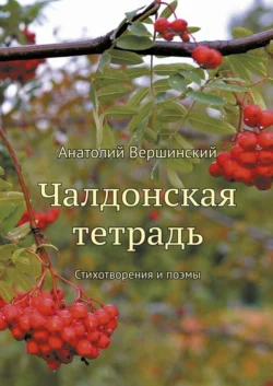 Чалдонская тетрадь. Стихотворения и поэмы - Анатолий Вершинский