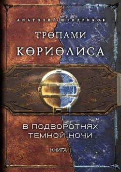 Тропами Кориолиса. Книга 1. В подворотнях темной ночи - Анатолий Шендриков