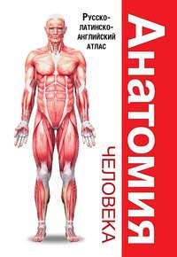 Анатомия человека. Русско-латинско-английский атлас, audiobook . ISDN27068654
