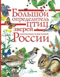 Большой определитель птиц, зверей, насекомых и растений России - Коллектив авторов