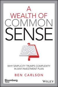 A Wealth of Common Sense - Ben Carlson