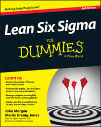 Lean Six Sigma For Dummies - Martin Brenig-Jones