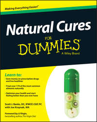 Natural Cures For Dummies - Joe Kraynak