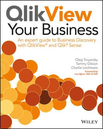 QlikView Your Business - Oleg Troyansky