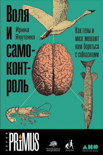 Воля и самоконтроль: Как гены и мозг мешают нам бороться с соблазнами, аудиокнига Ирины Якутенко. ISDN27450576