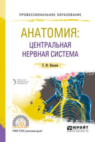 Анатомия: центральная нервная система. Учебное пособие для СПО - Сергей Киселев