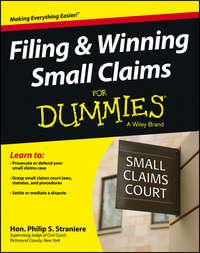 Filing and Winning Small Claims For Dummies - Judge Straniere