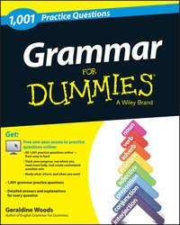 Grammar For Dummies: 1,001 Practice Questions (+ Free Online Practice) - Geraldine Woods