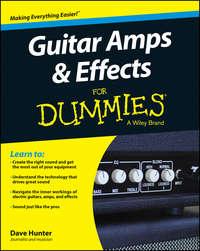 Guitar Amps and Effects For Dummies - Dave Hunter